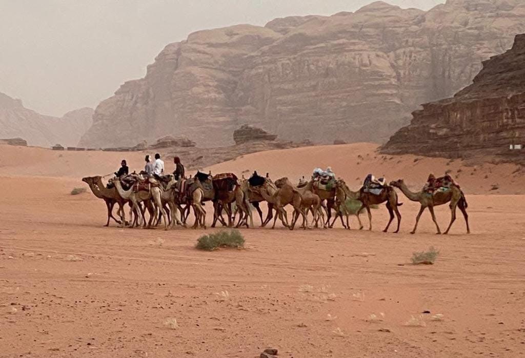 Wadi Rum Trail Exterior photo