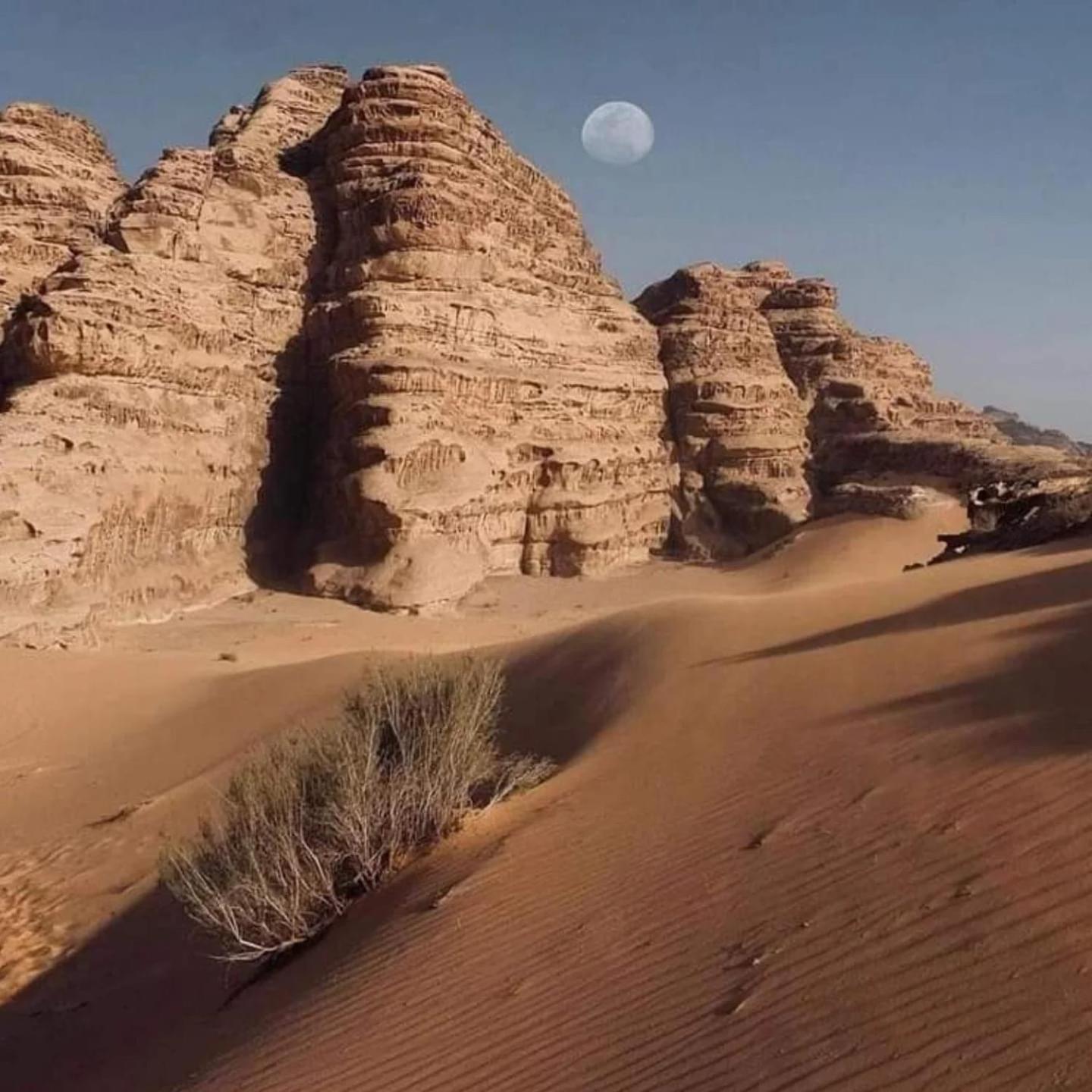 Wadi Rum Trail Exterior photo